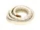 BOSCH-Ersatzteil-TTNR-7057048-Dichtschnur-20x25x4050mm-lang-everp-7057048 gallery number 1